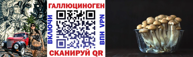 Галлюциногенные грибы GOLDEN TEACHER  продажа наркотиков  Муравленко 