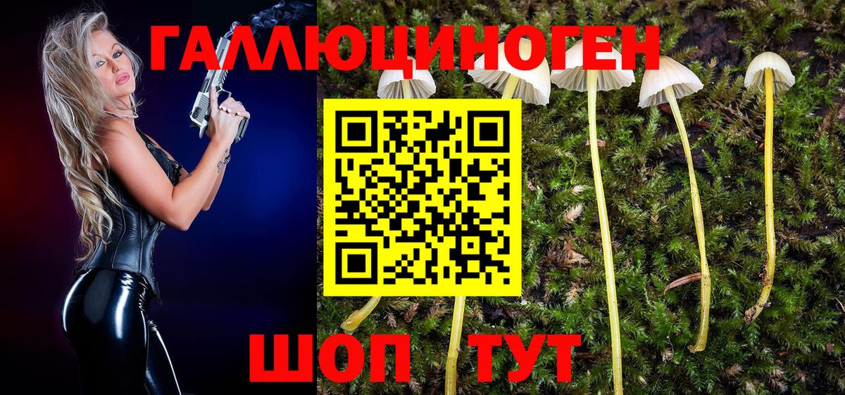 Муравленко  Галлюциногенные грибы Cubensis  Вход с VPN 